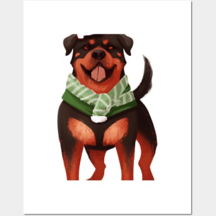 Cute Rottweiler Drawing Posters and Art